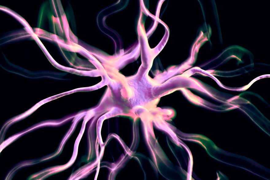 Understanding the link between the nervous system and chronic pain